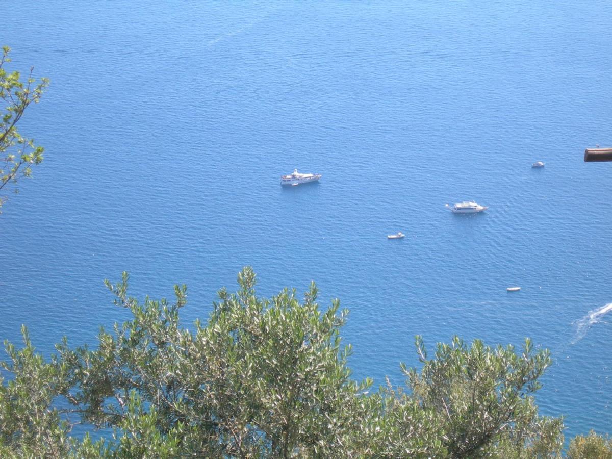 Bed and Breakfast Fattoria La Tagliata Positano Exterior foto